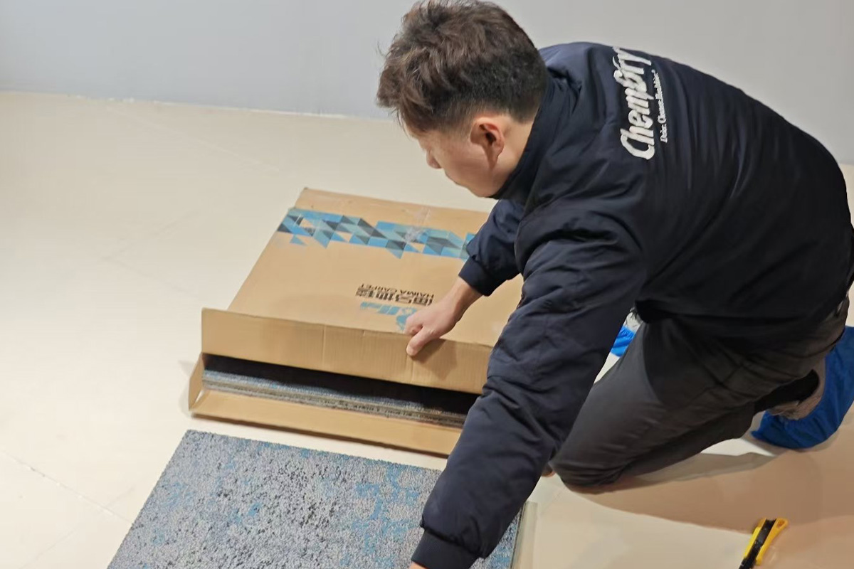 01.
预约和准备